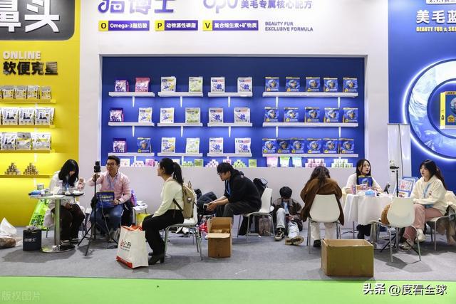 京城！宠物文创、趣味互动等你来体验！mg不朽情缘游戏试玩第12届宠展燃爆(图4)