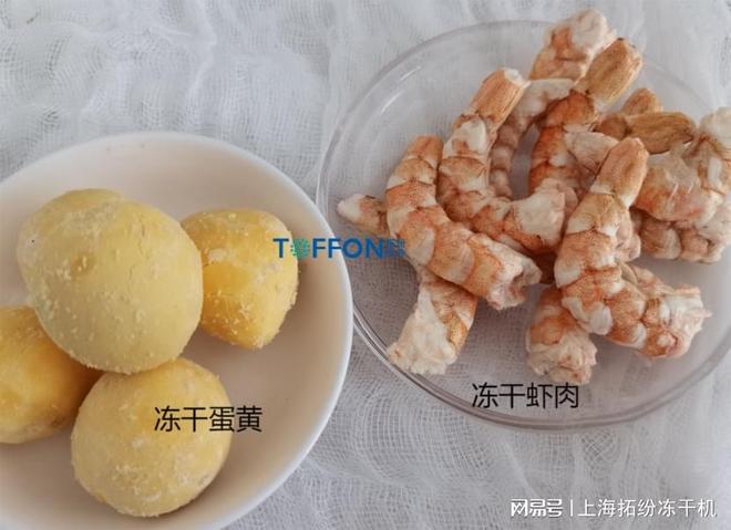 品冻干机保留新鲜与营养不朽情缘平台网站宠