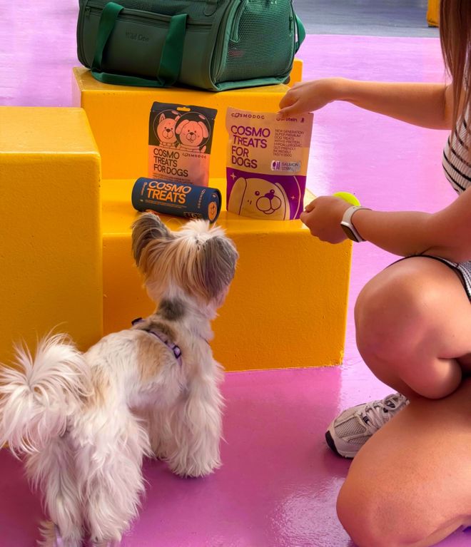 pet宠物零食以昆虫蛋白开辟全新赛道不朽情缘网站中俄联合品牌cosmo