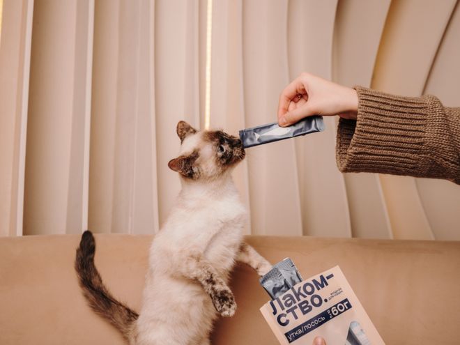 pet宠物零食以昆虫蛋白开辟全新赛道不朽情缘网站中俄联合品牌cosmo(图2)