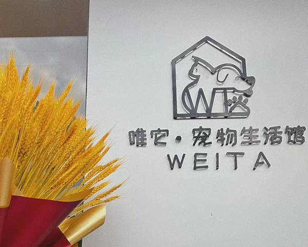 不朽情缘游戏网站登录宠物洗澡宠物洗护宠物美容宠物剪毛狗剪毛狗狗剪毛(图2)