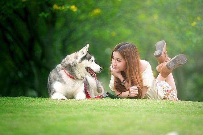 业链分析：现状、痛点、需求、趋势MG不朽情缘正版宠物食品行业