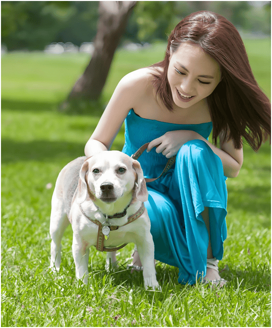 业链分析：现状、痛点、需求、趋势MG不朽情缘正版宠物食品行业产(图2)