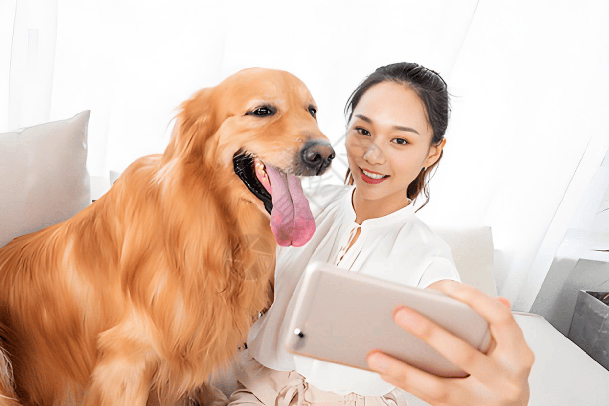 业链分析：现状、痛点、需求、趋势MG不朽情缘正版宠物食品行业产(图3)