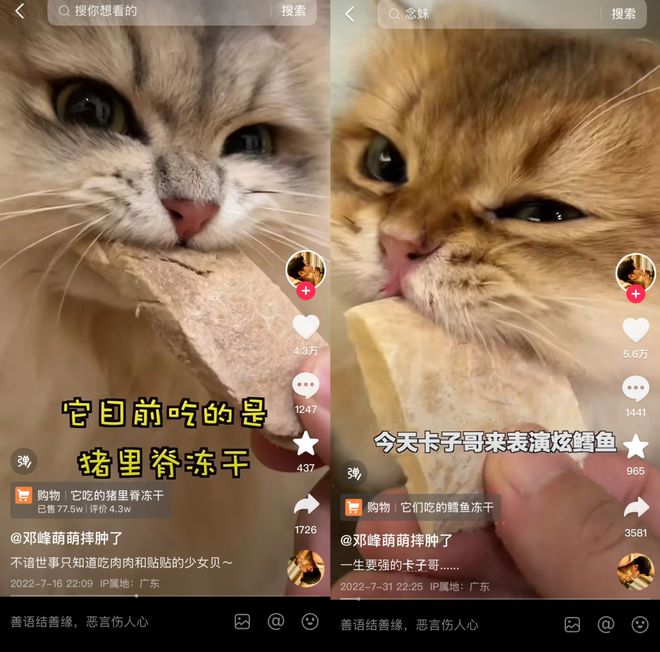 Top3这条千亿赛道杀出一匹黑马不朽情缘电子游戏年销2亿抖音类目(图8)